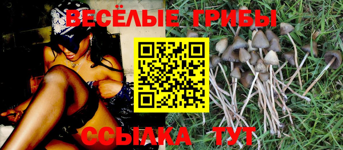 Полевской  Псилоцибиновые грибы мухоморы  Вход с VPN 